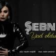 Sebnem Qehremanova - Yad oldun mene (2019) YUKLE.mp3