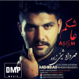 Mehrdad Sheykhi zadeh - Ashkim 2018 / DMP Music