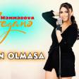 Yegane Memmedova - İnsan Olmasa 2019 YUKLE.mp3