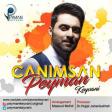 Peyman Keyvani - Canimsan 2019 Yukle