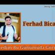 Ferhad Bicare - Olmedim Bu Gunumude Gordum 2020 YUKLE.mp3