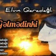 Elvin Qaradagli - Gelmedinki 2021 YUKLE.mp3