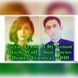 Roya Ayxan ft Dj Kenan Black Wolf - Son Gorus (Remix Versiya) 2018
