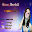Guneş Berdeli Logosuz Peşman 2017
