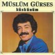 Unutamadım (Kaç Kadeh Kırıldı)