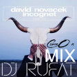 David Novacek & Incognet - Loser Hit ( Come_On) Dj Rufat  Mix
