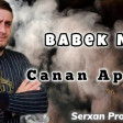 Babek Nur -Apardı Getdi 2024 (Official Audio)