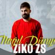 ZiKOZS - Nagil Dunya