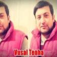 Vusal Tenha - Arzularim 2018