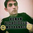 Kenan Vidadioglu - Gozumden Duşmusen Sen (Şeir) 2018