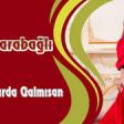 Arzu Qarabağlı - Gülüm Harda Qalmısan 2020 YUKLE.mp3