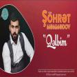Sohret Memmedov - Qelbim 2020