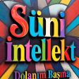 Suni Intellekt & Zahid Pro - Dolanim Basina 2026