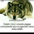 Orxan_Deniz_-_Hara_Gedirik_(seir)_