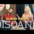 Elnur Valeh - Qisqanc 2020 YUKLE.mp3