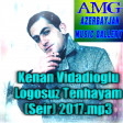 Kenan Vidadioglu Tenhayam (Seir) 2017