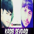 Murad Elizade ft Tural Sedali - Kasib Sevdasi 2017 ( Official Audio )