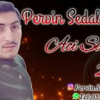 Pervin Sedali - Aci Sevgi 2019 (Seir) YUKLE.mp3
