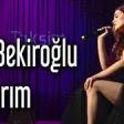 Aslı Bekiroğlu Yanarım 2020 YUKLE.mp3