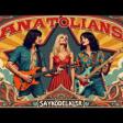 Psychedelic Anatolian Rock - Nar Ve Kül