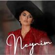 SEBNEM TOVUZLU - NEYNIM (2024).mp3