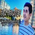 Eli Veliyev - Ikimizin Yerine 2020