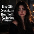 Kış Gibi Sessizim Buz Tuttu Şehrim