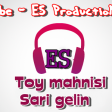 Toy Mahnisi-Sari Gelin 2016 (ES ProductioN-SENINEM.az)