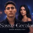 Zaur Mirzeliyev - Səssiz Gecələr _ 2026 MUSİC (Official Music Videos)