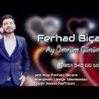 Ferhad Bicare - Ay Omrum Gunum 2020 YUKLE.mp3
