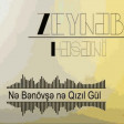 Zeyneb Heseni - Ne Benovse Ne Qizil Gul 2019 Yukle
