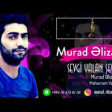 Murad Elizade Deli Kimi Oluram 2019 YUKLE.mp3