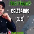 Fuad Teqvali - Celilabad 2020 (YUKLE)