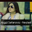 Aygül Səfərova - Neylədi 2019 YUKLE.mp3