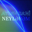Aydın Sani - Neylərəm (2019) YUKLE.mp3