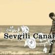Ramin Ehmedli - Sevgili Canan 2018