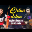 Elcin Goycayli Ft Oruc Amin - Delim Delim (2021) YUKLE.mp3