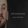 Seyyid Taleh Boradigahi - Emirel Mominin Heyder 2020