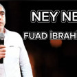 Fuad İbrahimov - Ney Ney 2023 (YUKLE)