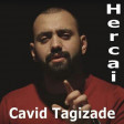 Cavid Tagizade - Hercai 2019 YÜKLƏ