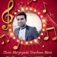 Elvin Mirzezade Dushun Meni (Dj Kenan Remix) 2017