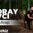 Koray Avcı - Atım Arap 2020 YUKLE.mp3