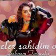 SEBNEM TOVUZLU - GECELER SAHIDIM OLSUN (2024).mp3