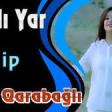 Arzu Qarabagli - Baldi yar 2020 YUKLE.mp3