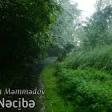Ağa Məmmədov - Nəcibə 2020 YUKLE.mp3
