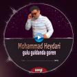 gulu guldanda goran aglasinn mp3 mohammad heydari