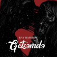 Ray Hamidov - Getsemde