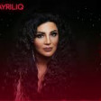 Reqibe & DJ Roshka - Ayriliq 2019 YUKLE.mp3