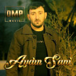 AYDIN SANI - OLAN OLDU 2018 DMP Music