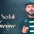 Tural Sedali incimə 2026 Vahid Eziz